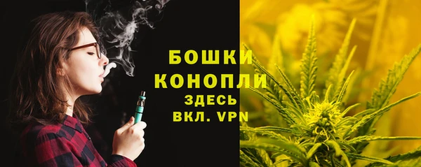 индика Михайловка