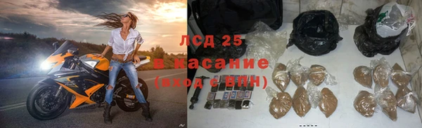 индика Михайловка