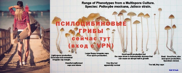 индика Михайловка