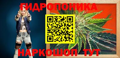 ALPHA PVP Гатчина