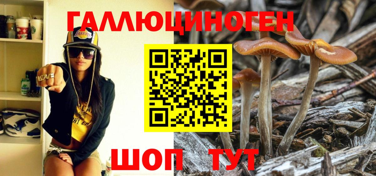 Галлюциногенные грибы Psilocybine cubensis  купить закладку  Ярцево 