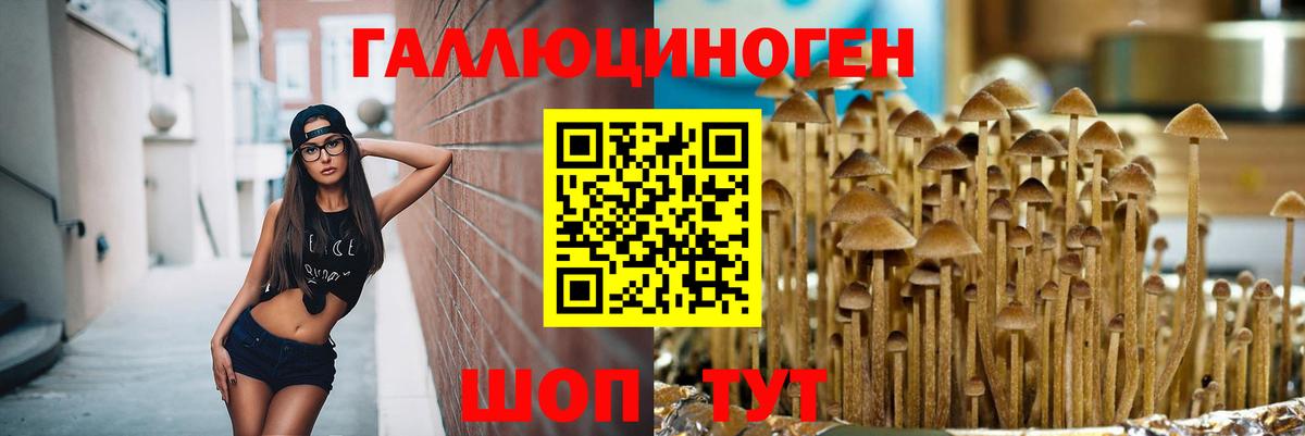 Галлюциногенные грибы ЛСД Ярцево